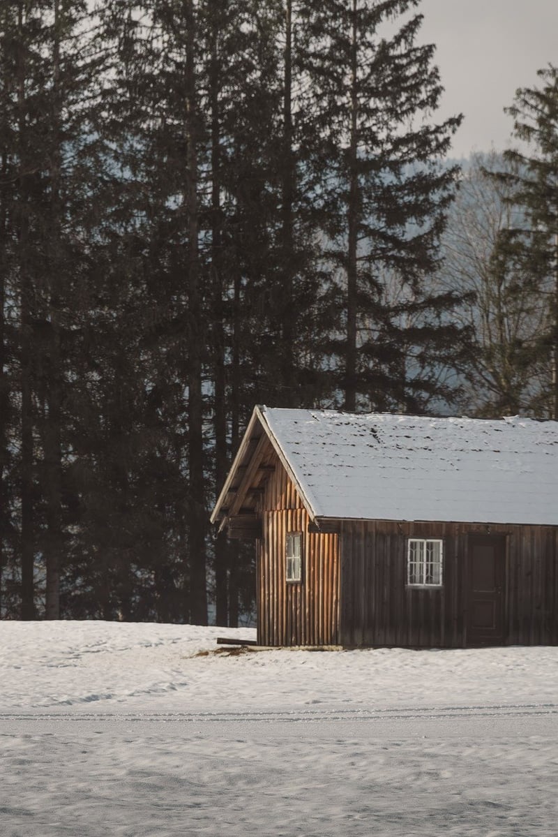 Whimsical Woodland Escape